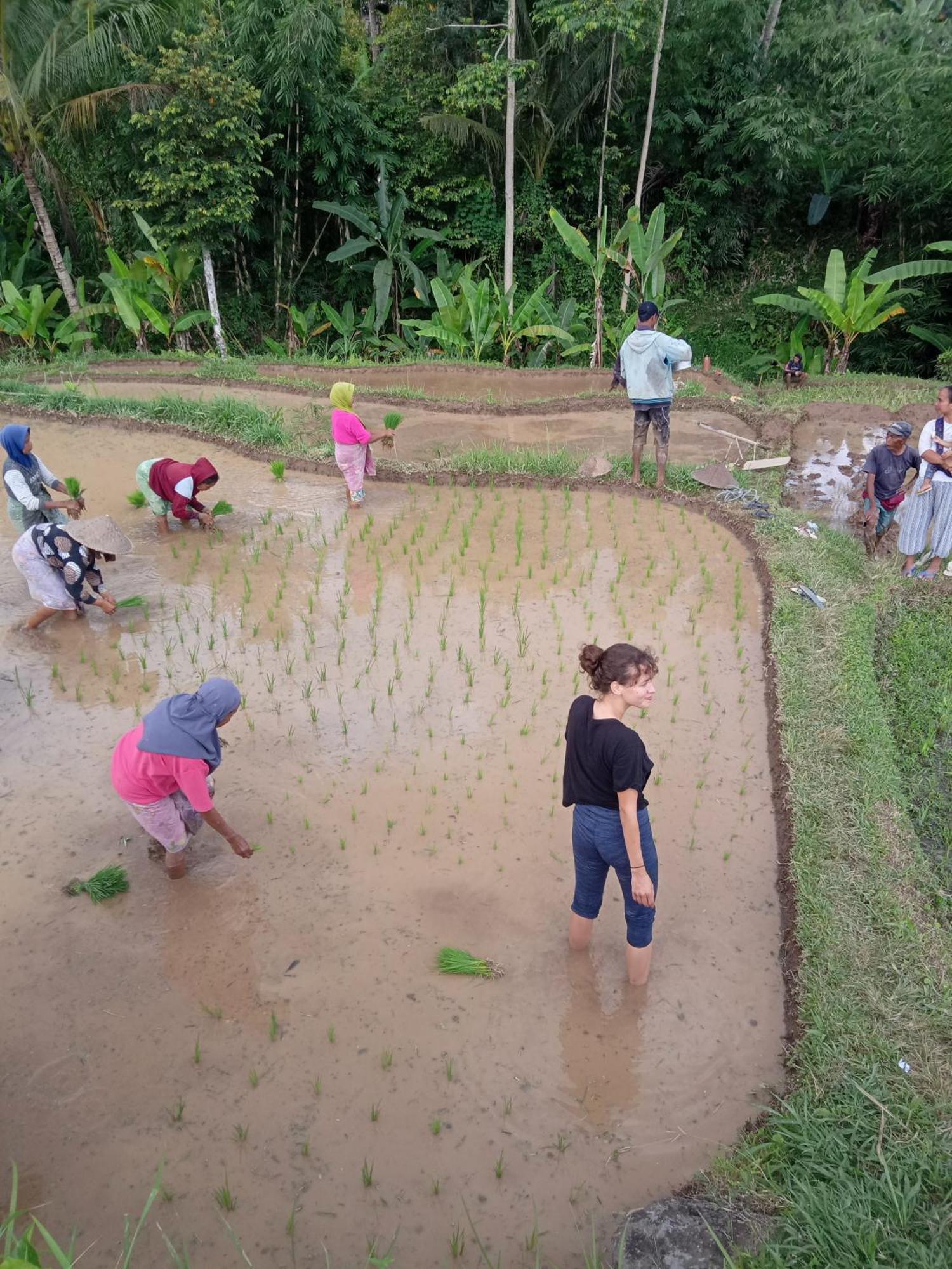 Coconut Homestay Тетебату Экстерьер фото