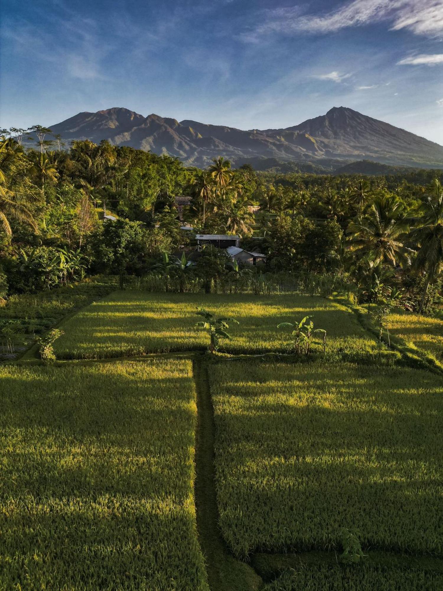 Coconut Homestay Тетебату Экстерьер фото